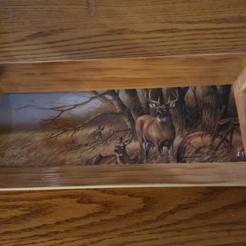 Wild Wings Rustic Retreat-Whitetail Deer Tray Original By Rosemary Millett 15”
